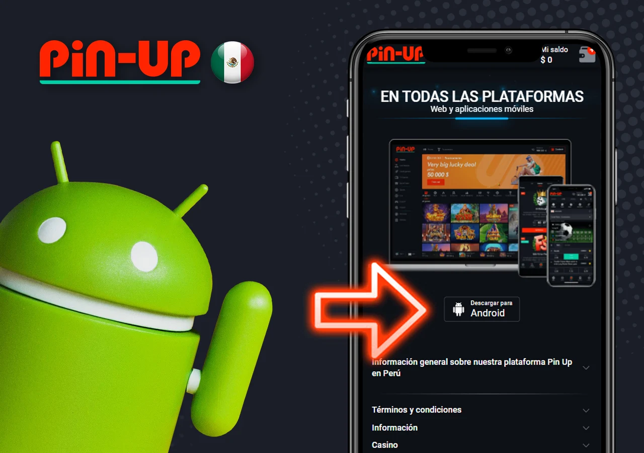 Una descripción detallada de los pasos necesarios para instalar la aplicación en Android